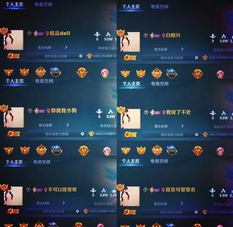 王者荣耀怎么查ID[图2]