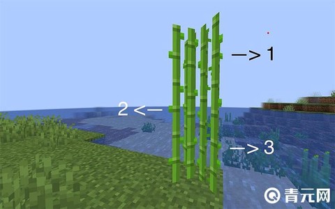 我的世界手机版甘蔗怎么种