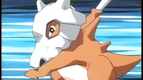 口袋妖怪日月卡拉卡拉怎么进化[图2]