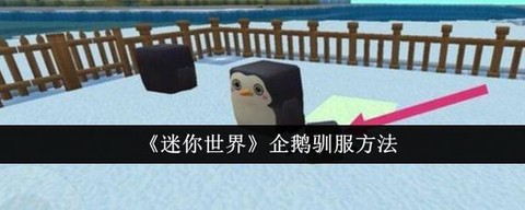 迷你世界的企鹅吃什么[图2]
