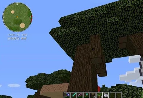 我的世界深色橡木怎么长不大[图1]